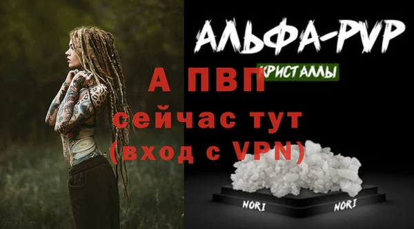 метадон Новозыбков