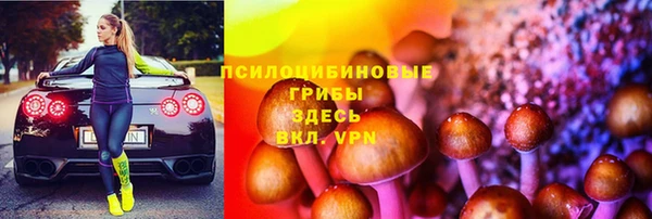 круглые Няндома
