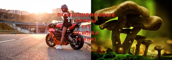 круглые Няндома